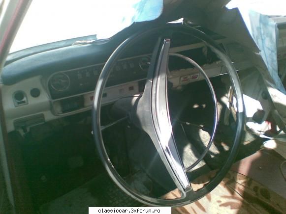 Vanatoarea de opeluri - vmarian - Am vazut prin Romania
