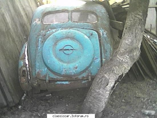 Vanatoarea de opeluri - kapitan in paragina - Am vazut prin Romania
