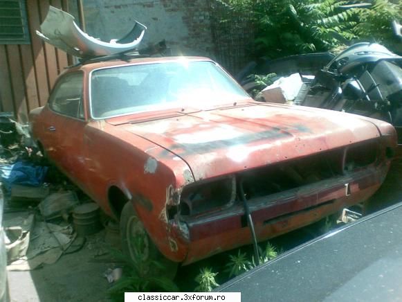 Vanatoarea de opeluri - cupeul din capitala - Am vazut prin Romania