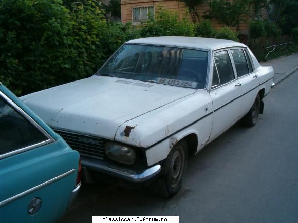 Vanatoarea de opeluri - celebrele faruri de raba - Am vazut prin Romania