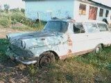Vanatoarea de opeluri - vmarian - Am vazut prin Romania