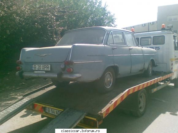 Vanatoarea de opeluri - alta,,,,,,,salvata - Am vazut prin Romania