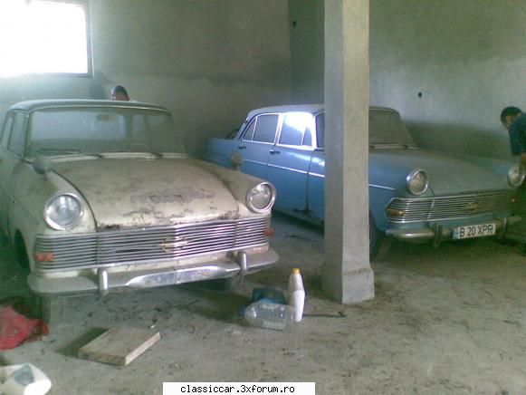 Vanatoarea de opeluri - tot....inpreuna cu donatoarea - Am vazut prin Romania