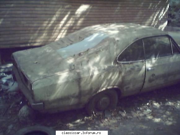 Vanatoarea de opeluri - bAndrei - Am vazut prin Romania