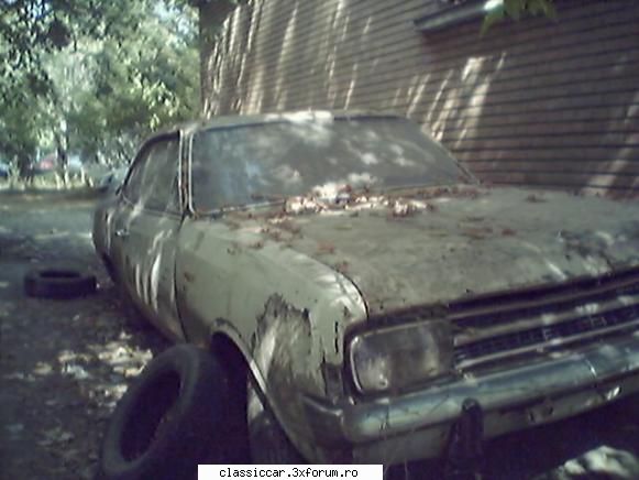 Vanatoarea de opeluri - bAndrei - Am vazut prin Romania