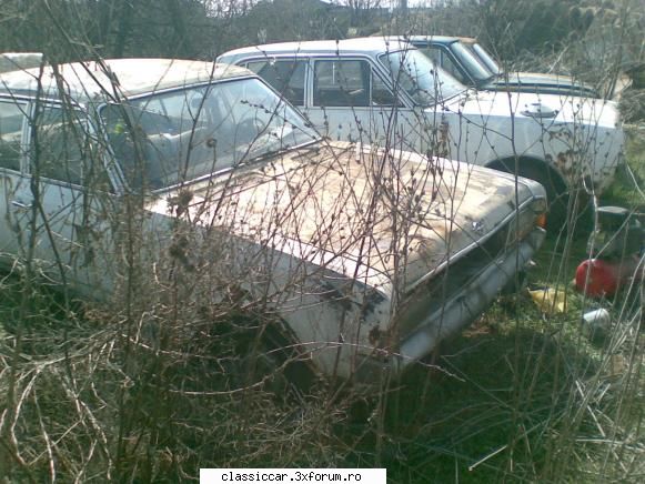 Vanatoarea de opeluri - alte doua donatoare - Am vazut prin Romania