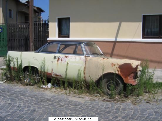 Vanatoarea de opeluri - p2 cupe care a disparut , nu se stie une - Am vazut prin Romania