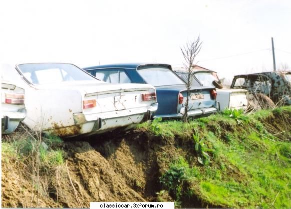 Vanatoarea de opeluri - vmarian - Am vazut prin Romania