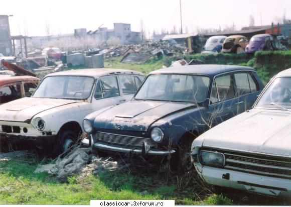 Vanatoarea de opeluri - vmarian - Am vazut prin Romania
