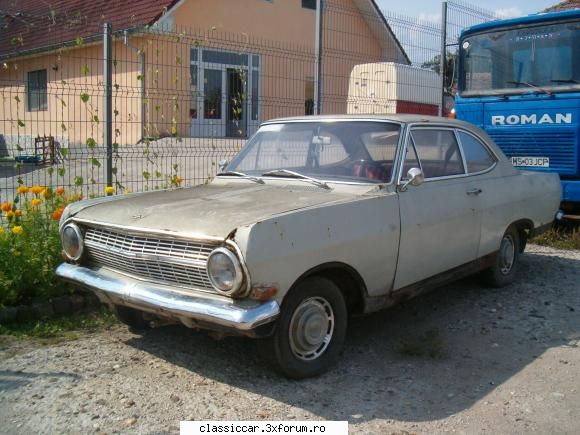 Vanatoarea de opeluri - vmarian - Am vazut prin Romania