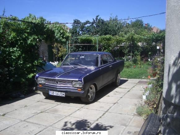 Vanatoarea de opeluri - alta......./////// - Am vazut prin Romania