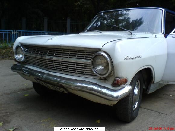 Vanatoarea de opeluri - vmarian - Am vazut prin Romania
