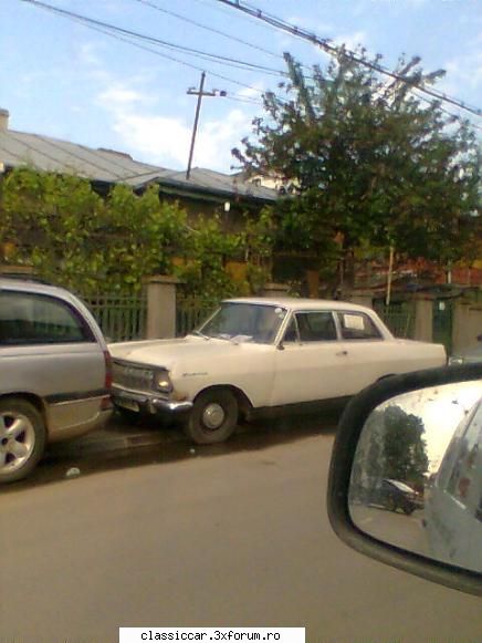 Vanatoarea de opeluri - a ajuns la remat pe 100 ron, dupa ce a tinut de - Am vazut prin Romania