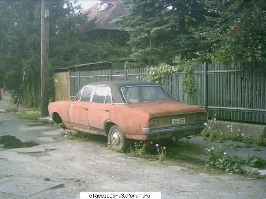 Vanatoarea de opeluri - inca unul disparut dintre noi - Am vazut prin Romania