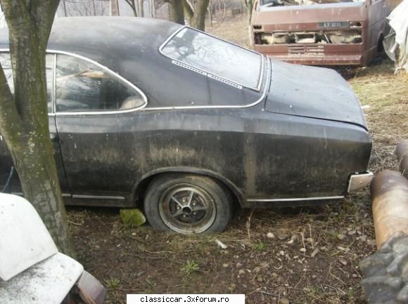 Vanatoarea de opeluri - alta...macar putei sa anunti de restul fiarelor - Am vazut prin Romania