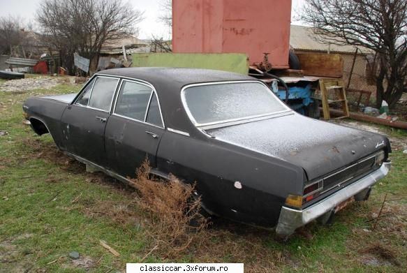 Vanatoarea de opeluri - bine intele sopelurile qadmiral si rekord b din - Am vazut prin Romania