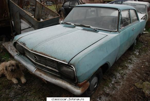Vanatoarea de opeluri - bAndrei - Am vazut prin Romania