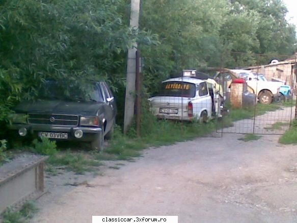 Vanatoarea de opeluri - in Sfantu gheorghe..si este de vinzare..pret 1000 - Am vazut prin Romania