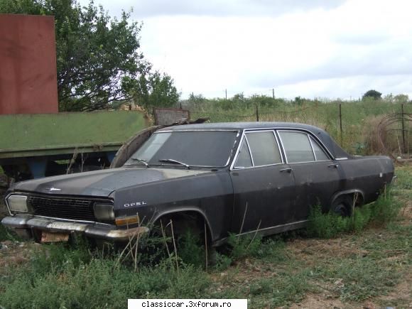 Vanatoarea de opeluri - vmarian - Am vazut prin Romania