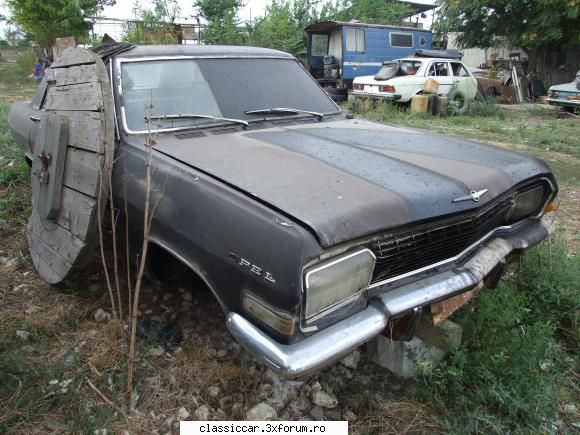 Vanatoarea de opeluri - vmarian - Am vazut prin Romania