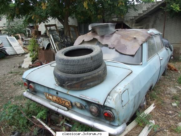 Vanatoarea de opeluri - vmarian - Am vazut prin Romania