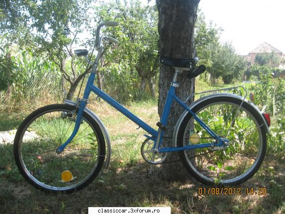 Vand biciclete si piese bicicleta - Vand Pegas Comoda - 250 lei - Vanzari-Cumparari biciclete