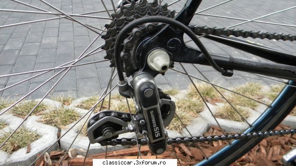 Vand cursiera Giant - Gogu-ologu - Vanzari-Cumparari biciclete