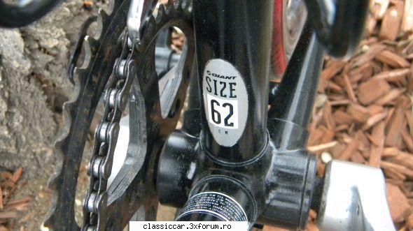 Vand cursiera Giant - Gogu-ologu - Vanzari-Cumparari biciclete