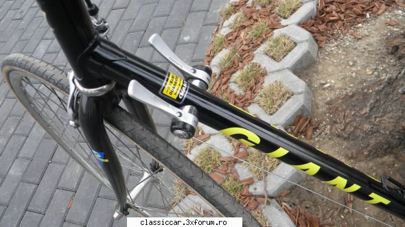 Vand cursiera Giant - Gogu-ologu - Vanzari-Cumparari biciclete