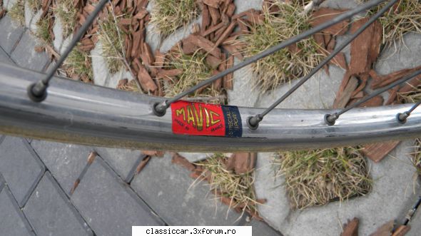 Vand cursiera Giant - Gogu-ologu - Vanzari-Cumparari biciclete