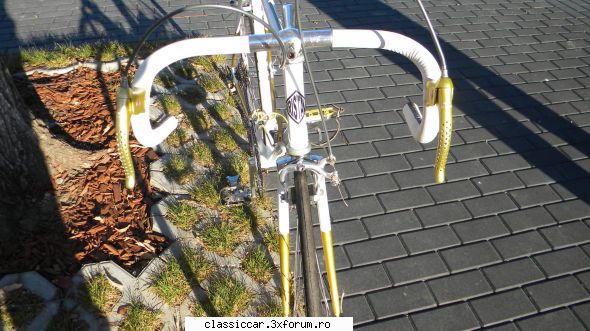 Vand cursiera vintage - Gogu-ologu - Vanzari-Cumparari biciclete