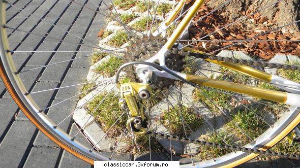 Vand cursiera vintage - Gogu-ologu - Vanzari-Cumparari biciclete