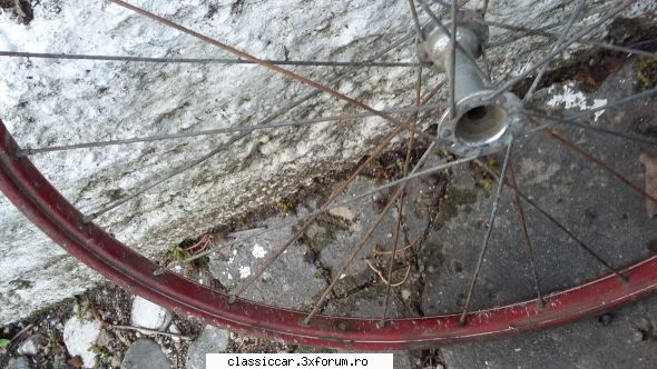 Vand doua roti bicicleta pionier - panda - Vanzari-Cumparari biciclete