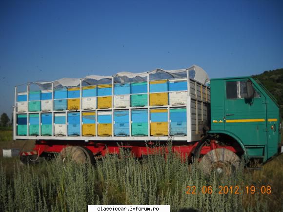 Vazut in Niculitel, Tl - brucsy - Am vazut prin Romania