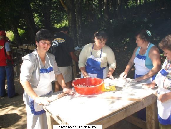 Vizitarea unui muzeu in aer liber,cu buburuze. - Bucateresele lucrau din greu - Drumetii prin Mioritic