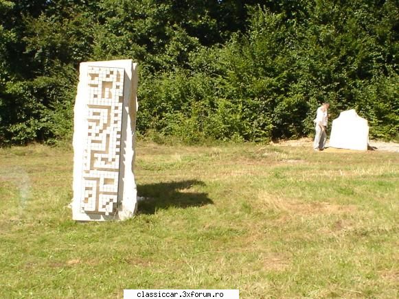 Vizitarea unui muzeu in aer liber,cu buburuze. - Poate nu exagarez,inaltimea de 4-5 - Drumetii prin Mioritic
