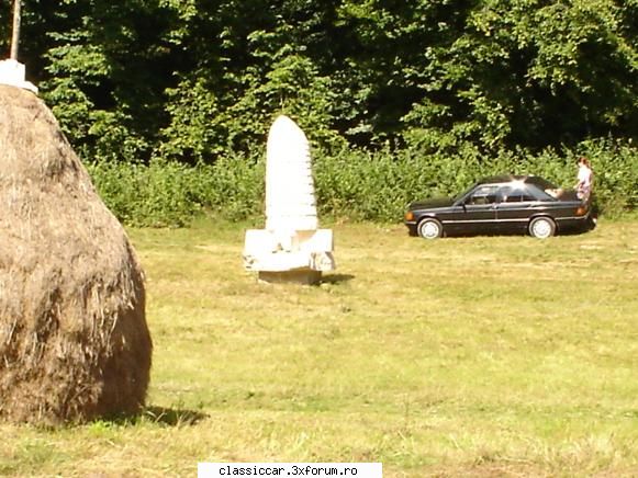 Vizitarea unui muzeu in aer liber,cu buburuze. - Am holbat din plin ziua de duminica - Drumetii prin Mioritic