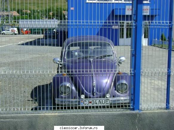 Vw Brotac - Misu de Cluj - Am vazut prin Cluj-Napoca