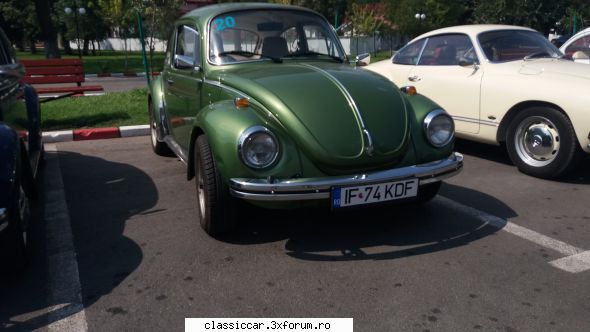 broasca zilele 2018