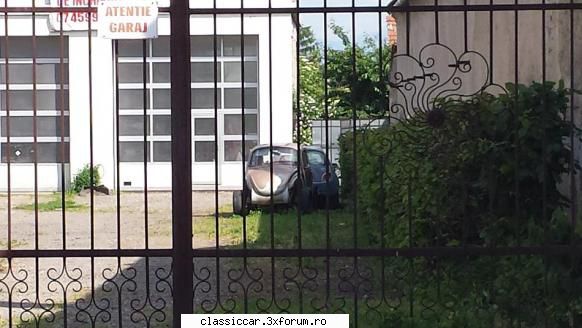 am vazut in Brasov - un 1303 intr-o curte in codlea, unde mai era o - Am vazut prin Romania
