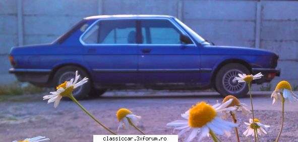 anunturi romanesti vazute pe net - > Referitor la discutia de mai sus despre - Anunturi vazute pe net