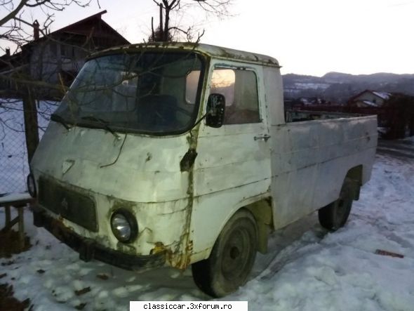 anunturi romanesti vazute pe net - Misu de Cluj - Anunturi vazute pe net