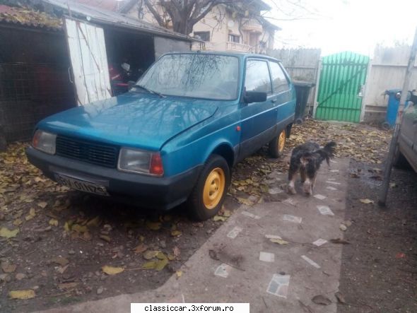 anunturi romanesti vazute pe net - Misu de Cluj - Anunturi vazute pe net