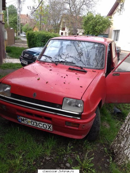 anunturi romanesti vazute pe net - Misu de Cluj - Anunturi vazute pe net