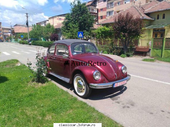 anunturi romanesti vazute pe net - aduc in atentia voastra o broasca ce isi cauta - Anunturi vazute pe net