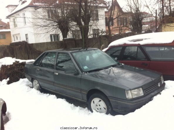 anunturi romanesti vazute pe net - Misu de Cluj - Anunturi vazute pe net