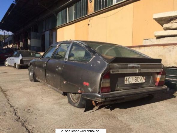 anunturi romanesti vazute pe net - Misu de Cluj - Anunturi vazute pe net