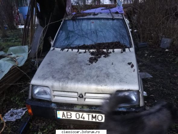anunturi romanesti vazute pe net - Un Lastun cu muschi si faruri de cn4 - Anunturi vazute pe net