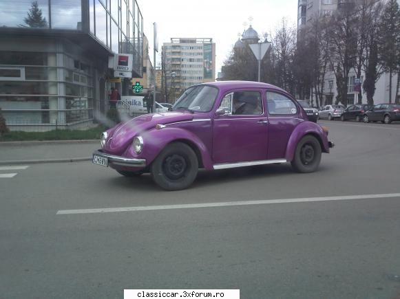 broasca mov - poza facuta in graba din mashina prin zona - Am vazut prin Cluj-Napoca