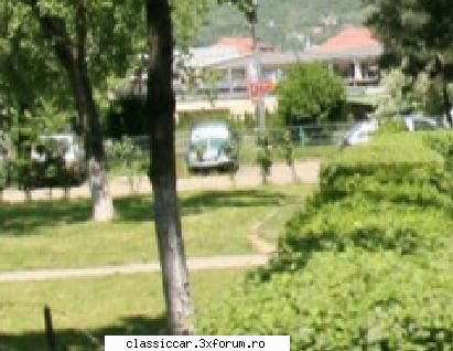 broasca verde - pozele sunt de pe un site cu poze de prin - Am vazut prin Cluj-Napoca